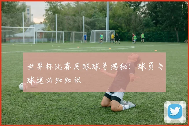 世界杯比赛用球球号揭秘:球员与球迷必知知识