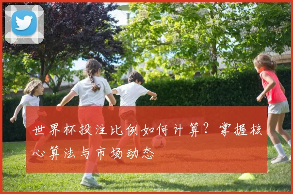 世界杯投注比例如何计算?掌握核心算法与市场动态