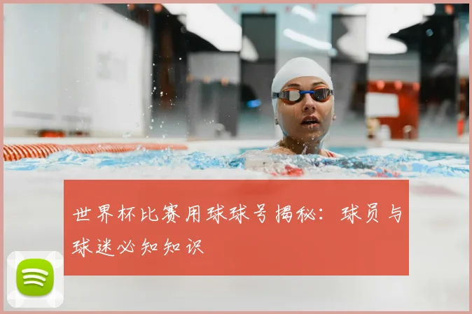 世界杯比赛用球球号揭秘:球员与球迷必知知识