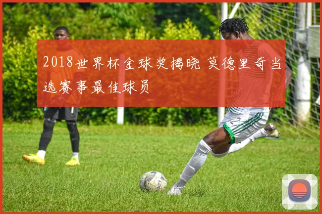 2018世界杯金球奖揭晓 莫德里奇当选赛事最佳球员