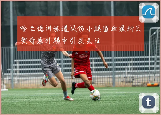 哈兰德训练遭误伤小腿留血痕科瓦契奇意外踢中引发关注