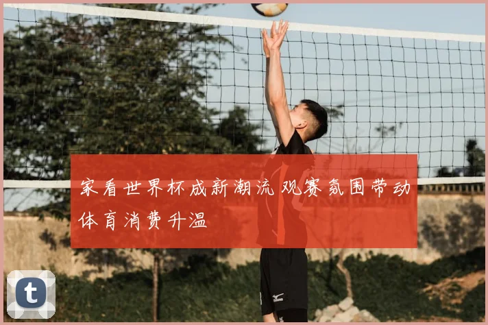 家看世界杯成新潮流 观赛氛围带动体育消费升温