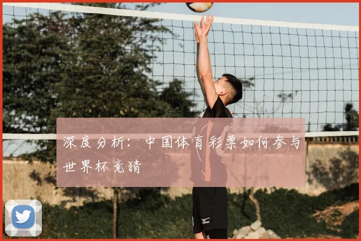深度分析：中国体育彩票如何参与世界杯竞猜