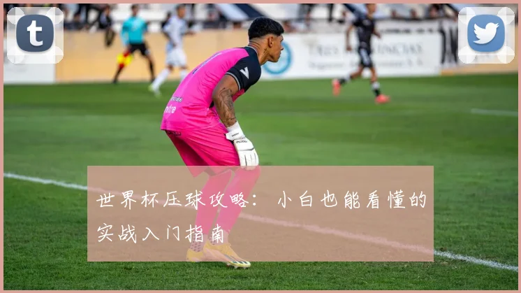 世界杯压球攻略:小白也能看懂的实战入门指南