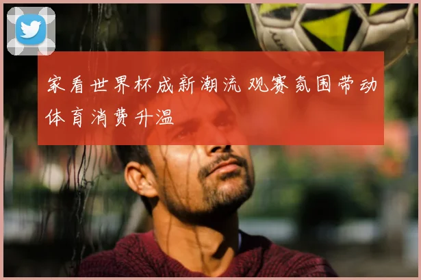 家看世界杯成新潮流 观赛氛围带动体育消费升温